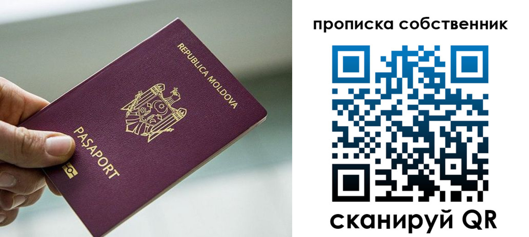 прописка паспорт в Суздали